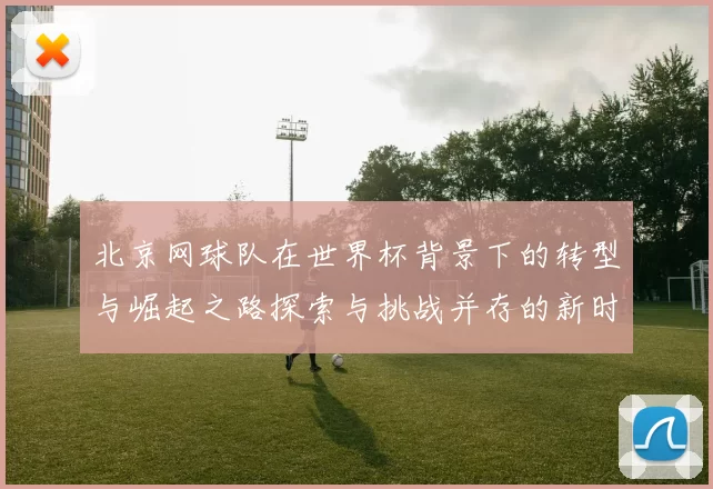 北京网球队在世界杯背景下的转型与崛起之路探索与挑战并存的新时代篇章