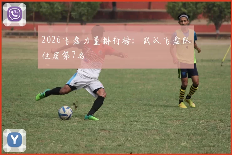 2026飞盘力量排行榜：武汉飞盘队位居第7名