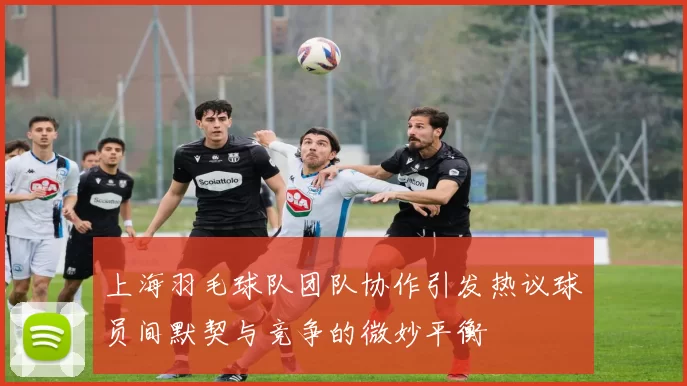 上海羽毛球队团队协作引发热议球员间默契与竞争的微妙平衡