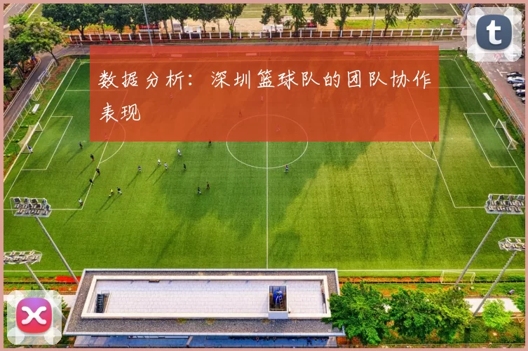 数据分析：深圳篮球队的团队协作表现