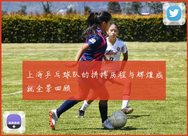 上海乒乓球队的拼搏历程与辉煌成就全景回顾